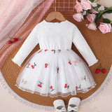 Cherry Embroidery Princess Skirt